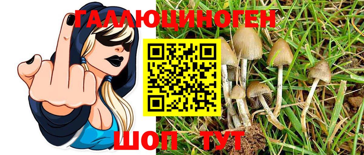 Галлюциногенные грибы Magic Shrooms Кандалакша