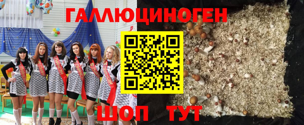 Псилоцибиновые грибы GOLDEN TEACHER  Псилоцибиновые грибы Psilocybine cubensis  Кандалакша  Вход с VPN 